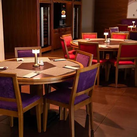 Desilva Warszawa Hotel Piaseczno (Masovia)